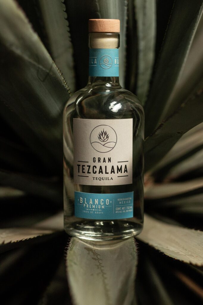 Tequila_gran_tezcalama-TEZCALAMA CAMPO DE AGAVE-21